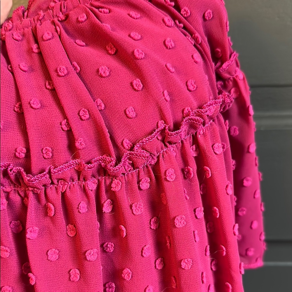 J Crew Raspberry Ruffle Swiss Dot Blouse - Picture 3 of 3